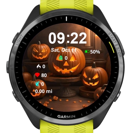 Family Pumpkins · Screenshot 0