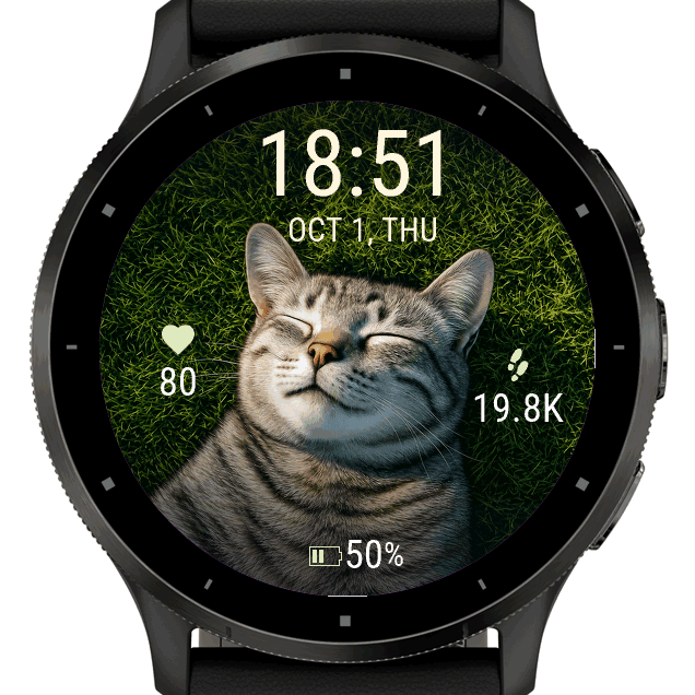 sleeping cat · Screenshot 1