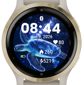 Stellar Turtle · Screenshot 1