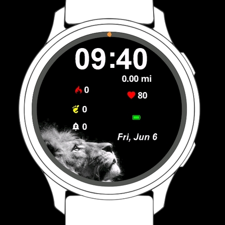 Lion Black · Screenshot 0