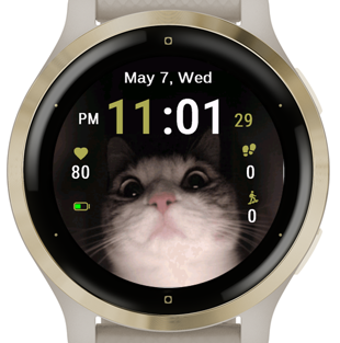 Curious Feline · Screenshot 2