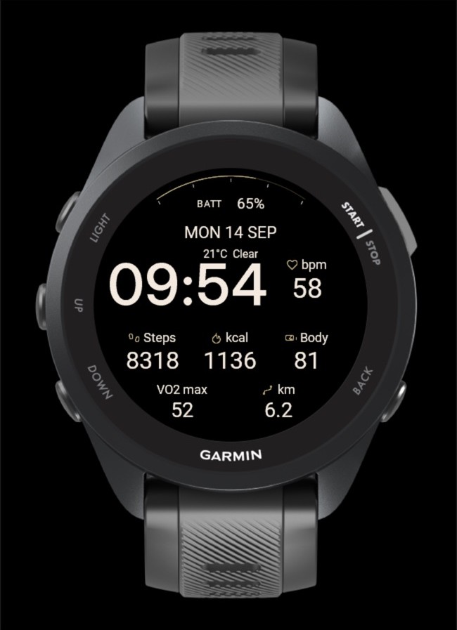 Dialform Data Watch Face · Screenshot 1