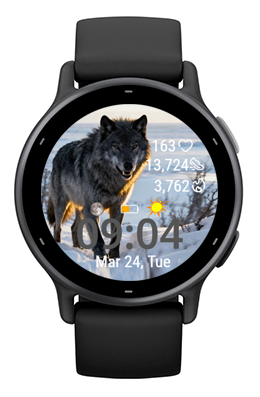 Snow Wolf · Screenshot 3