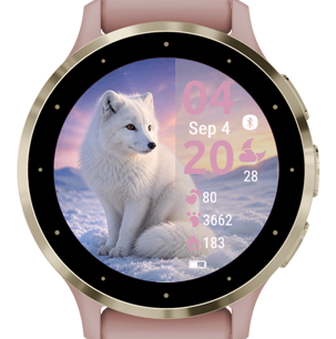 Arctic Fox · Screenshot 2
