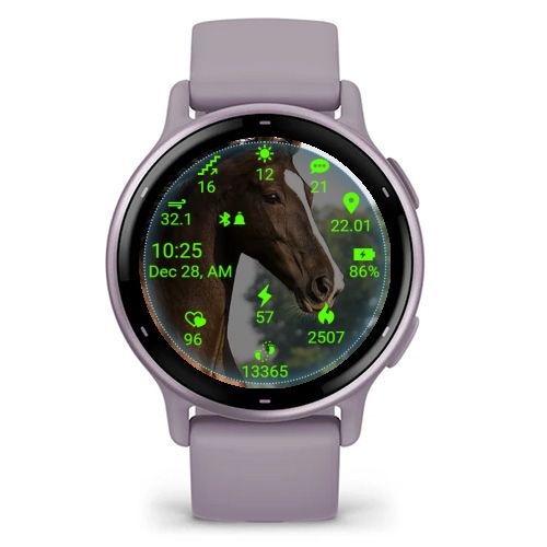Horse05 2