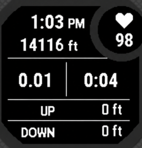 Hiking Datafield/Datascreen - Imperial Dark · Screenshot 0