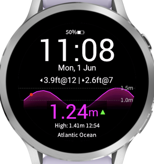 Tide Watch · Screenshot 1