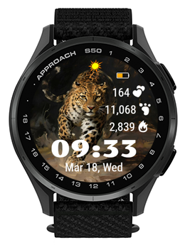 Running Leopard · Screenshot 3