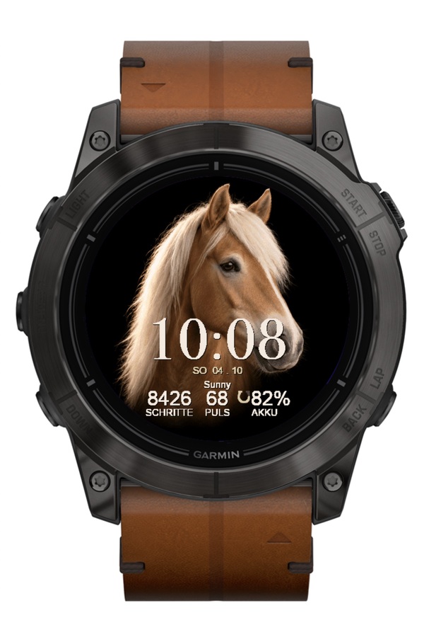 EQUESTRIAN - Your horse. Your time. · Screenshot 4