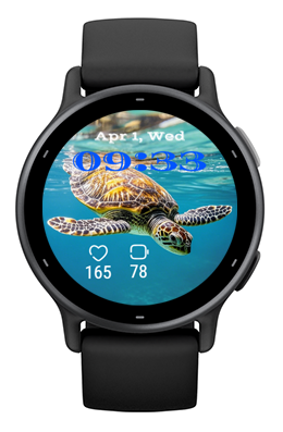 Big Turtle · Screenshot 2