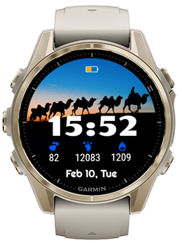 Camel Team · Screenshot 0
