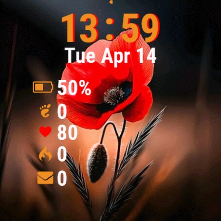 Red Poppy Flower 2
