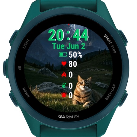 Cat Sitting Grass Lightning · Screenshot 2