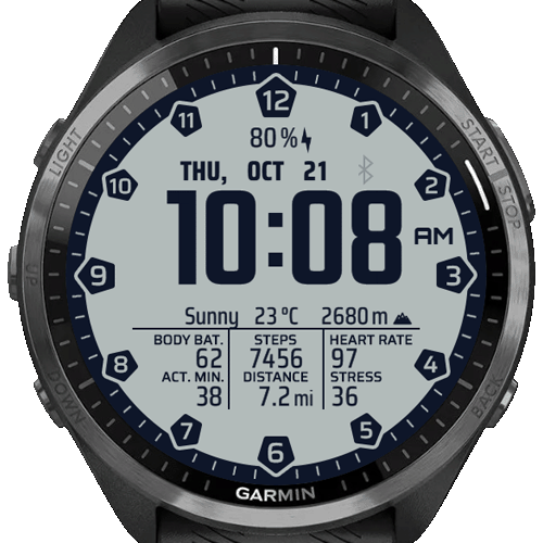 The Light Gray Hybrid · Screenshot 1