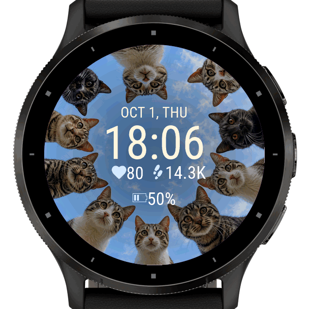 Cat Circle · Screenshot 1
