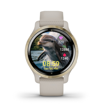 Dolphin · Screenshot 2