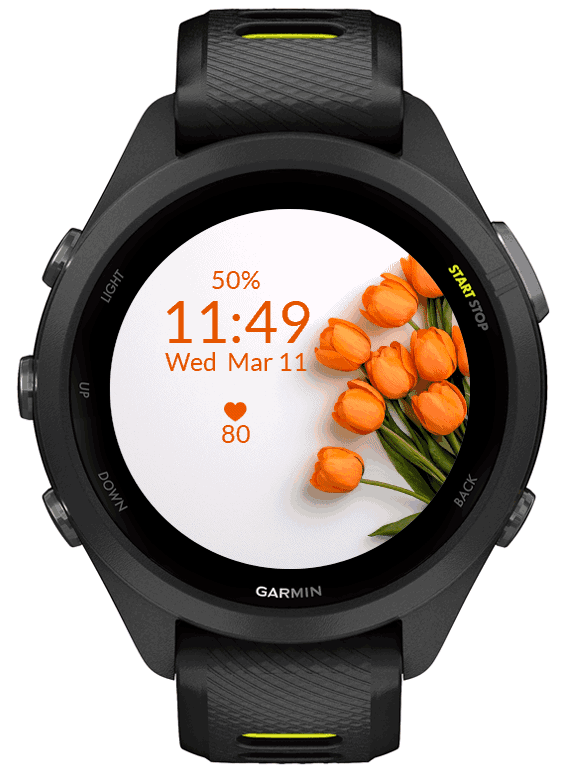 Orange Tulips · Screenshot 3