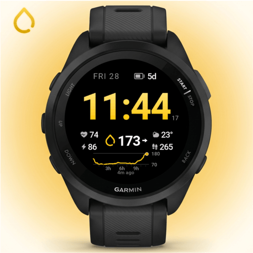 GGlance - CGM WatchFace Libre Dexcom · Screenshot 1