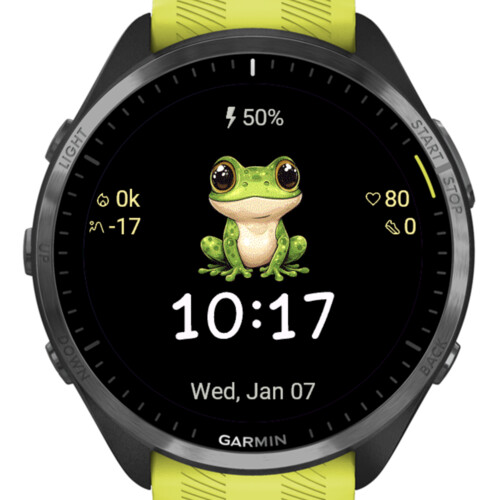 Cute Frog · Screenshot 1