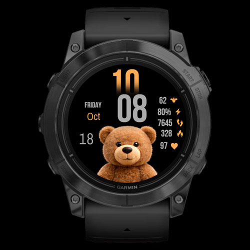 Teddy Digital 2