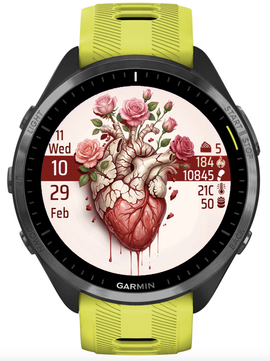 Heart 4