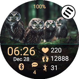 Wildlife W02 · Screenshot 3