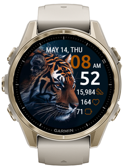 Tiger Shadow · Screenshot 0