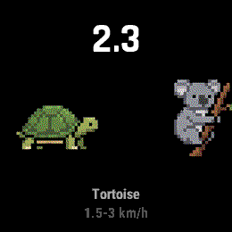 Wild Speed · Screenshot 3
