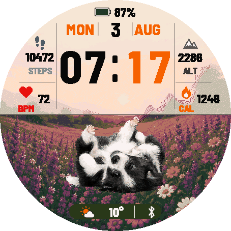 Border Collie Trial · Screenshot 2