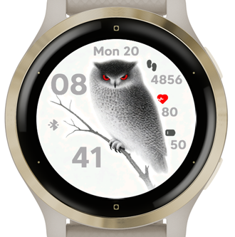 Silent Owl · Screenshot 3