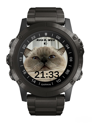 Cat · Screenshot 1