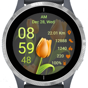 Tulip 02 · Screenshot 4