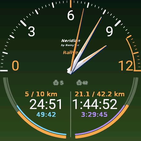 Neridian Rallye Pro – display analogico · Screenshot 2