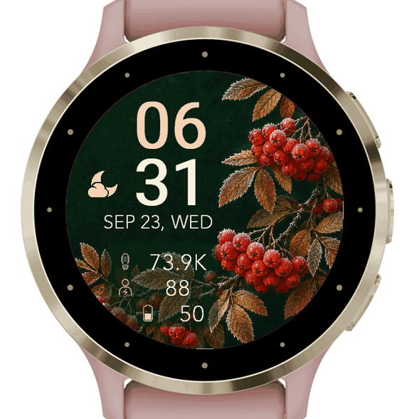Frosted Berries · Screenshot 0