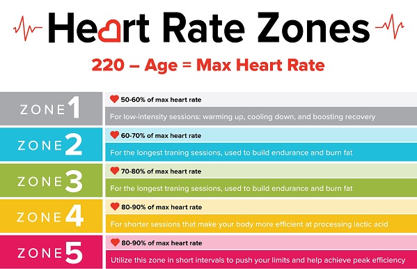 Heartrate Datafield · Screenshot 1