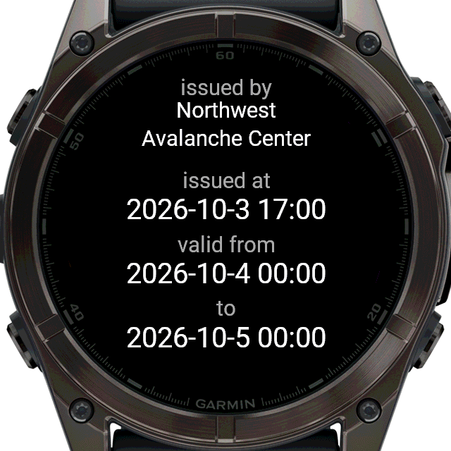 tAvalanche US - avalanche forecasts for the USA · Screenshot 4