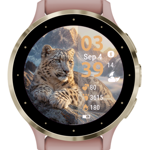 Snow Leopard · Screenshot 3