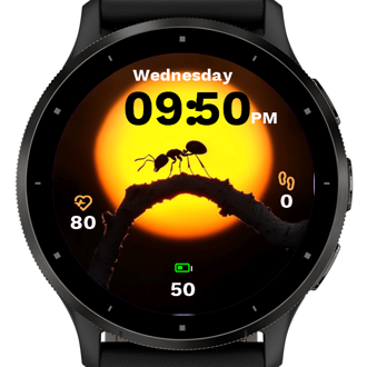 Twilight Ant · Screenshot 0
