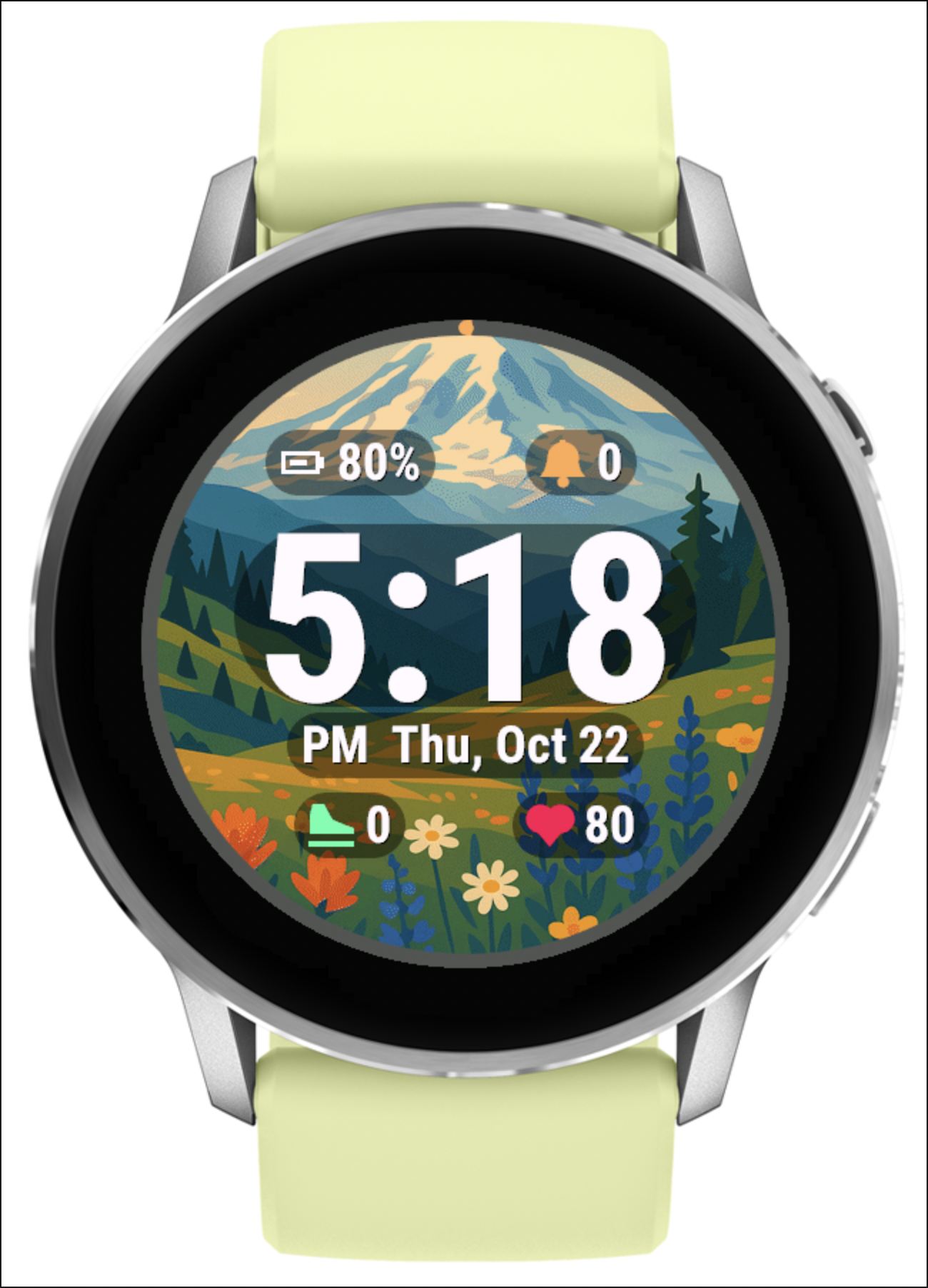 Paradise Meadows | Mount Rainier · Screenshot 1