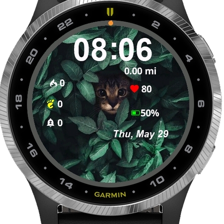 Look Cat · Screenshot 0