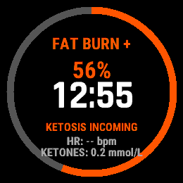 FastFlow – Fasting Tracker · Screenshot 0