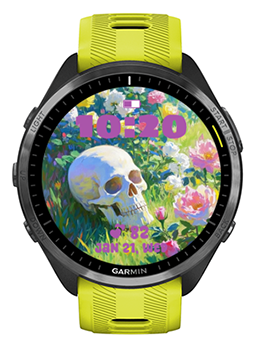 Flower Skeleton · Screenshot 1