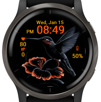 Graceful Hummingbird · Screenshot 3
