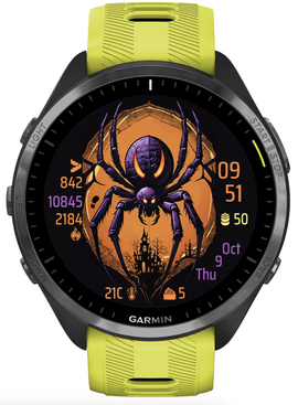 Spider · Screenshot 2