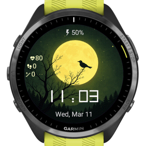 Moonlit Forest Bird · Screenshot 2