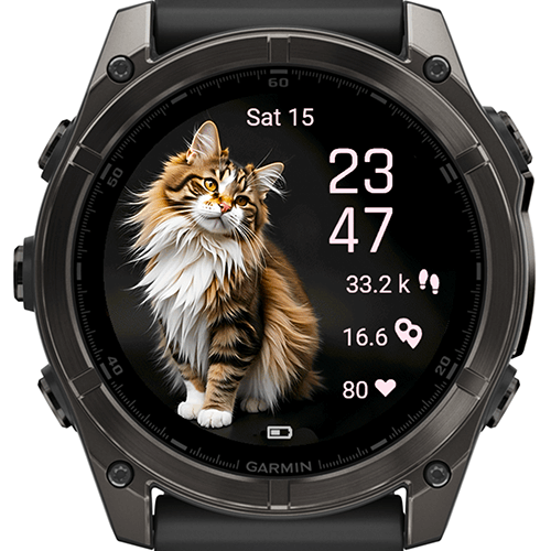 Cat Selfie Charm G · Screenshot 3