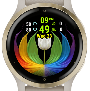 Tulip Fantasy · Screenshot 3