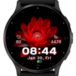 Crimson Lotus · Screenshot 1