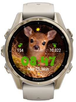 Fawn Moss · Screenshot 3