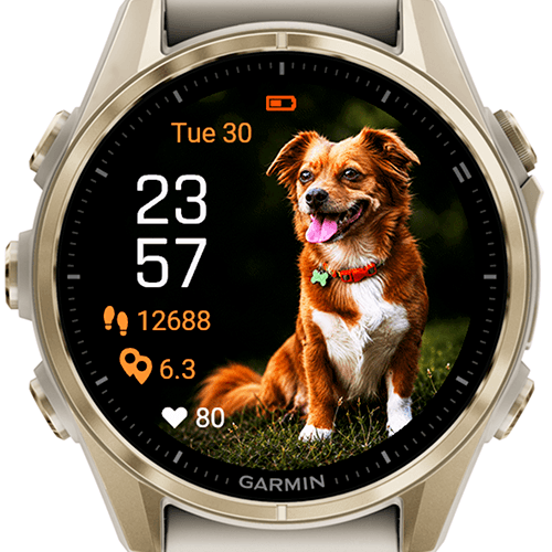 Happy Lipici Dog G · Screenshot 3